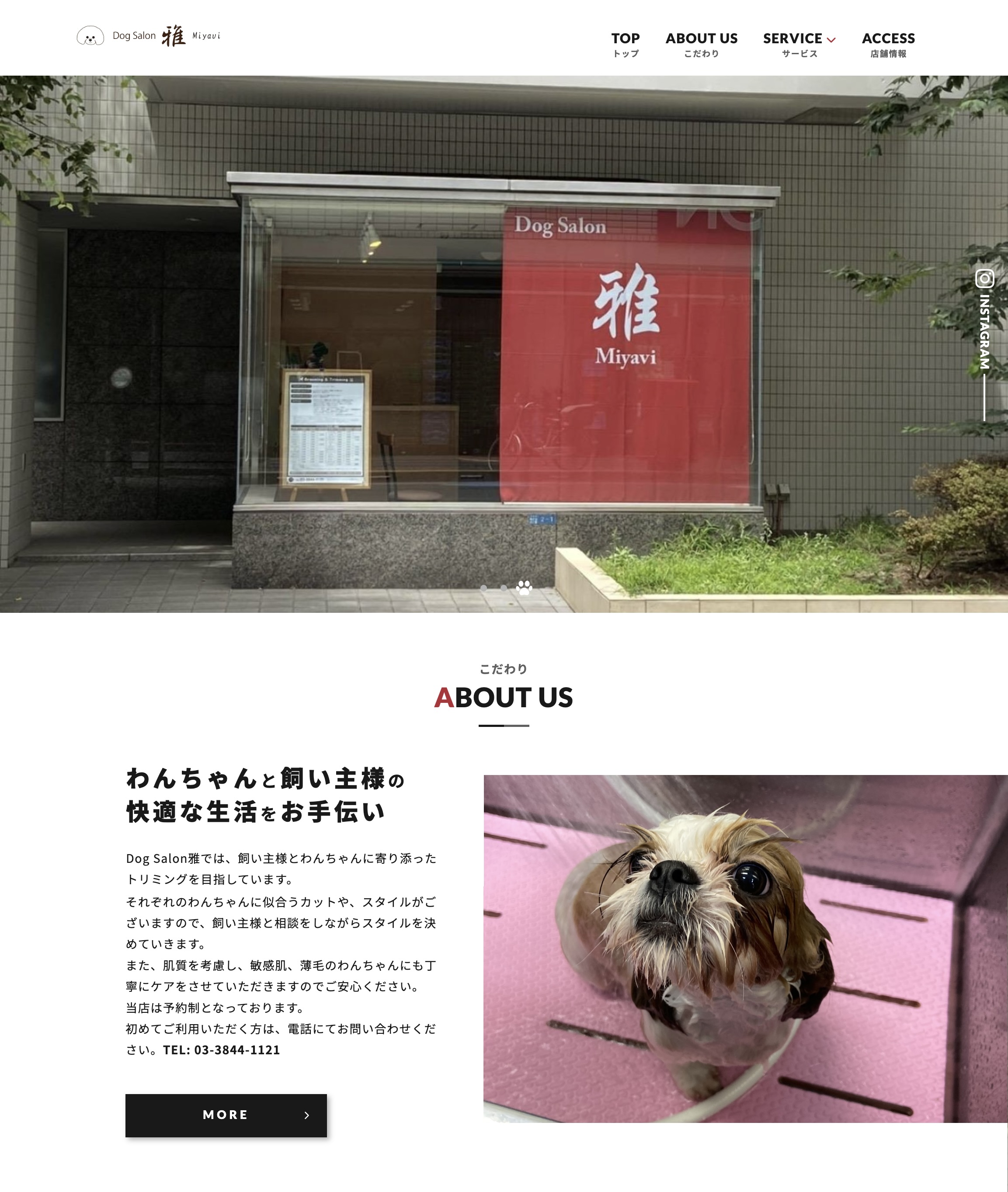 dogsalon website